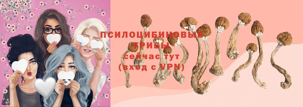 сатива Алексин