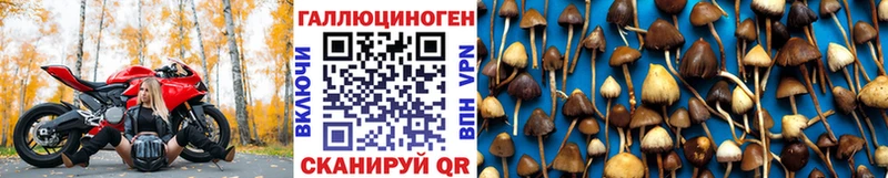 Псилоцибиновые грибы мицелий  Мышкин 